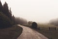 vintage landscape with path on nature Royalty Free Stock Photo