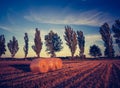 Vintage landscape of straw bales on stubble field Royalty Free Stock Photo