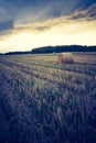 Vintage landscape of straw bales on stubble field Royalty Free Stock Photo