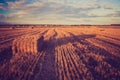 Vintage landscape of straw bales on stubble field Royalty Free Stock Photo