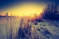 Vintage landscape of winter field