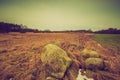 Vintage landscape of winter field