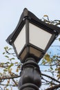 Vintage lantern in the city park. Around the yellow autumn leaves Royalty Free Stock Photo