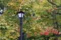 Vintage lantern in the city park. The trees show colorful autumn leaves