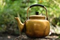 Vintage large aluminum tea pot kettle stove on nature background.