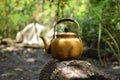 Vintage large aluminum tea pot kettle stove on nature background.