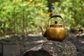 Vintage large aluminum tea pot kettle stove on nature background. Royalty Free Stock Photo