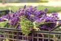 Vintage lavender