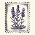 Vintage Lavender Flower Stamps: Hand Rendered Vector Illustration