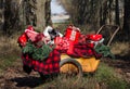 Vintage Lawn Cart full of Christmas Presents Royalty Free Stock Photo