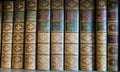 Vintage, leather bound history books on a shelf Royalty Free Stock Photo