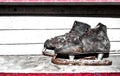 Vintage leather ice skates Royalty Free Stock Photo