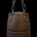 Vintage Leather Punching Bag