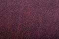 Vintage leather texture Royalty Free Stock Photo