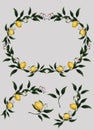 Vintage Lemons, Flowers and Leaves. Watercolor Style Fruits. Raster citrus illustration. Design elements.