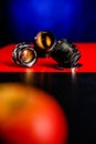 Vintage lenses. Manual focus lenses Royalty Free Stock Photo