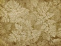Vintage Lichen Imprint Royalty Free Stock Photo