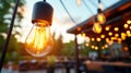 Vintage light bulb glowing in outdoor setting at sunset Royalty Free Stock Photo