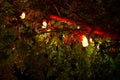 Vintage light bulbs hanging on the ceiling of a tree in the park.Lamps hanging from the ceiling of a cafe in the night Royalty Free Stock Photo