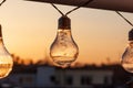 Vintage light bulbs on a the sunset background - Solar power concept Royalty Free Stock Photo