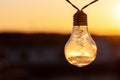 Vintage light bulbs on a the sunset background - Solar power concept Royalty Free Stock Photo