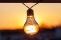 Vintage light bulbs on a the sunset background - Solar power concept Royalty Free Stock Photo
