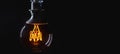 Vintage lightbulb on dark background Royalty Free Stock Photo