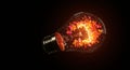Glowing Lightbulb with Orange Flowers on Black Background Royalty Free Stock Photo