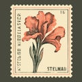 Vintage Lily Flower Stamp Design - Natural Print Style Royalty Free Stock Photo