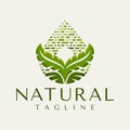 Vintage line nature leaf droplet logo branding. Luxury farm leaf water logo.