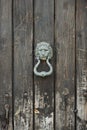 Vintage lion head door knocker wooden gate Royalty Free Stock Photo