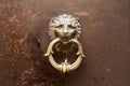 Vintage lion head  golden knob with knocking ring Royalty Free Stock Photo