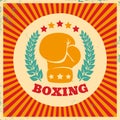 Vintage logo for boxing Royalty Free Stock Photo