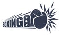 Vintage logo for boxing. Royalty Free Stock Photo