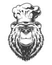 Vintage logo style bear Royalty Free Stock Photo