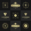 Vintage logos and monograms set elegant flourishes line art graceful ornaments victorian style vector template design Royalty Free Stock Photo