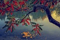 Vintage look with tree in autumn on the river shore Royalty Free Stock Photo