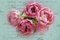 Vintage love background with pink tulips in vase