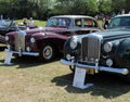 Vintage luxury car lineup