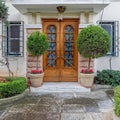 A vintage, luxury house entrance solid wood door with huge flower pots Royalty Free Stock Photo