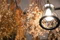 Vintage luxury interior lighting lamp decor hang on ceiling Royalty Free Stock Photo