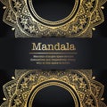 Vintage luxury vector handmade round mandala