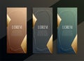 Vintage luxury vertical golden banners set design