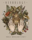 Vintage magic plants with human hands, witch`s herbs mandrake root, wicca occult greeting card Royalty Free Stock Photo