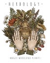 Vintage magic plants with human hands, witch`s herbs mandrake root, wicca occult greeting card