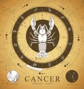 Vintage magic witchcraft card with astrology Cancer zodiac sign. Realistic hand drawing crab illustration.