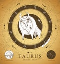 Vintage magic witchcraft card with astrology Taurus zodiac sign. Realistic hand drawing bull head.