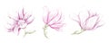 Vintage magnolia flowers, individual design elements, invitations