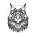 Vintage Maine Coon Cat Head Engraved Vector For Pet Apparel. Royalty Free Stock Photo