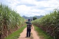 A vintage man backpacker is walking for travel in the country road jungle side summer time in Kanchanaburi Royalty Free Stock Photo